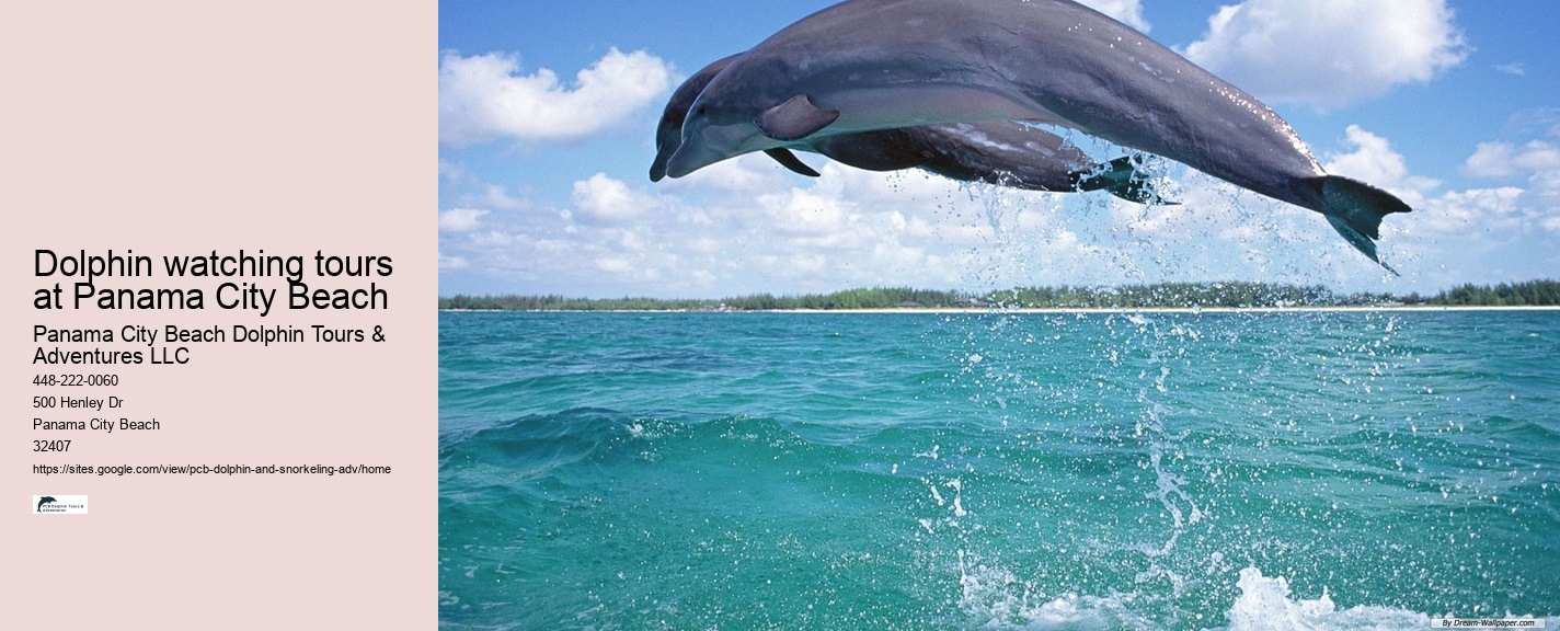 Panama City Beach Dolphin Tours & Adventures Ez