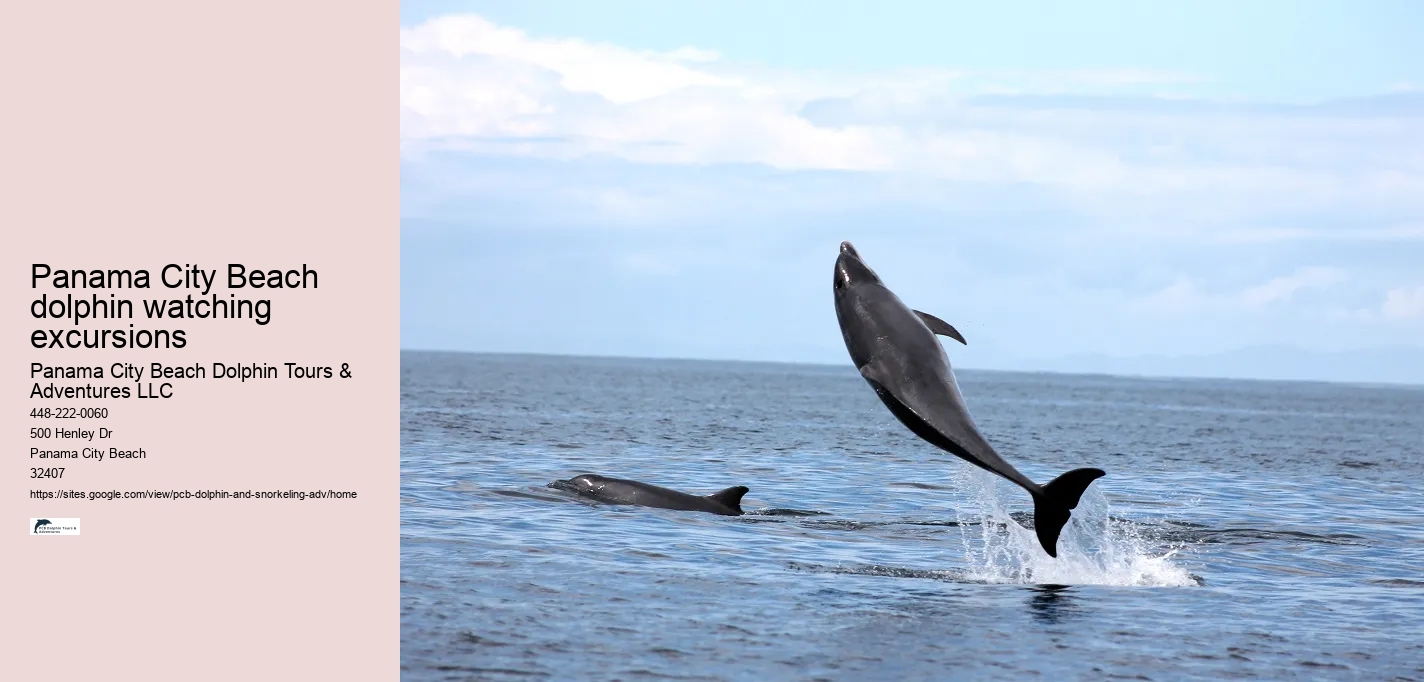 Panama City Beach dolphin watching excursions