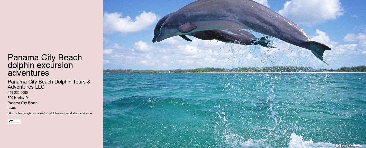 Panama City Beach Dolphin Tours Adventures Private
