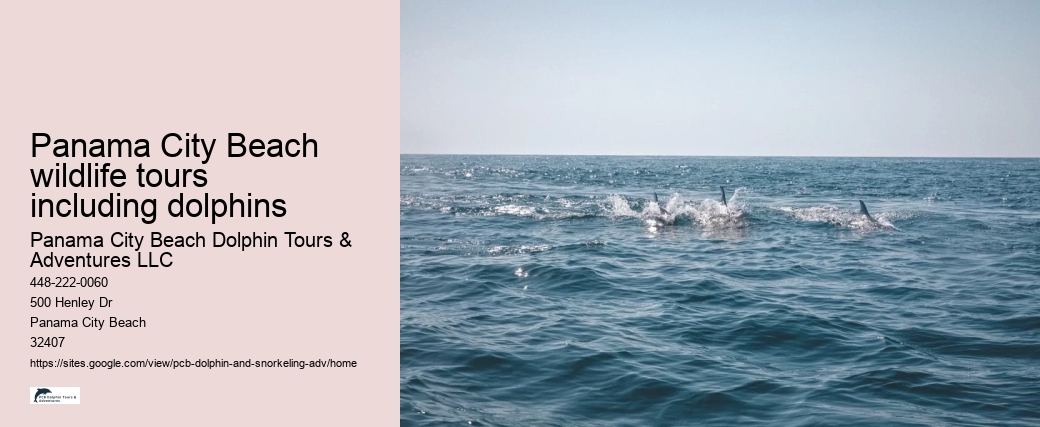 Panama City Beach wildlife tours including dolphins